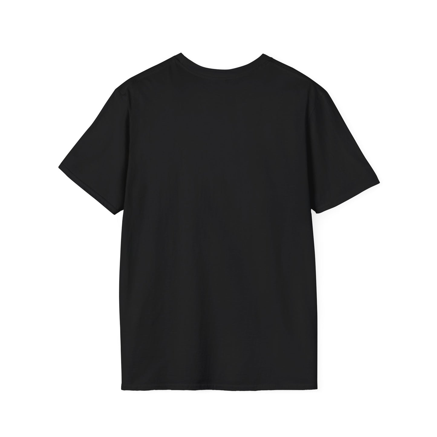 Ludicrous Unisex Softstyle T-Shirt
